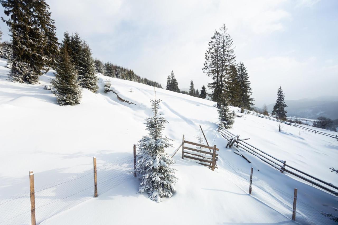 Villas Fomich Bukovel Dış mekan fotoğraf