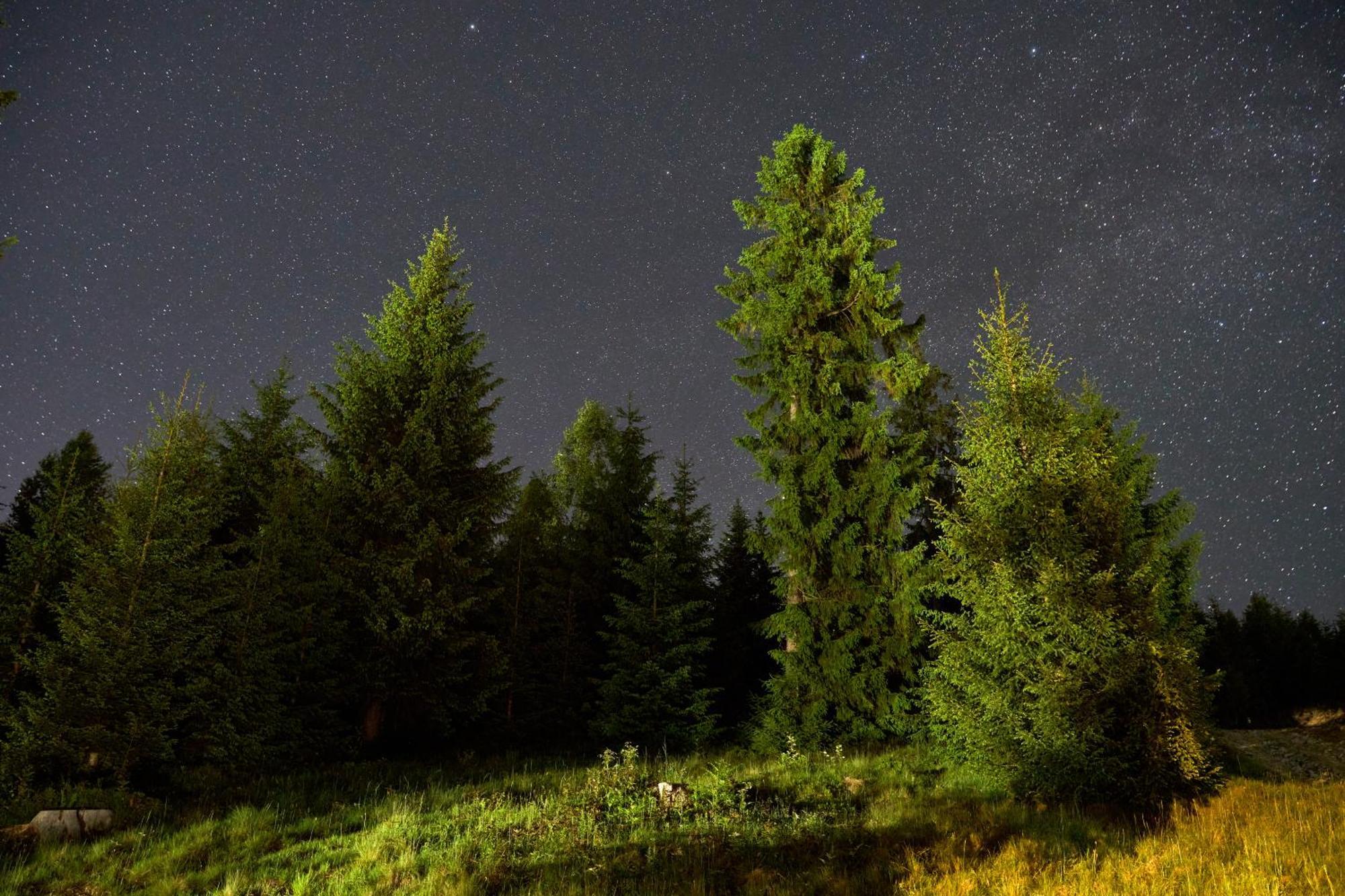Villas Fomich Bukovel Dış mekan fotoğraf